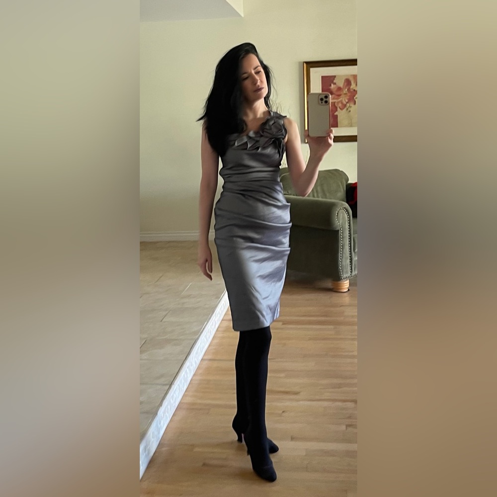 CACHÉ Beauteous Silvery Gray Prom / Cocktail Dress / Formal Sz. 6 - Picture 9 of 9